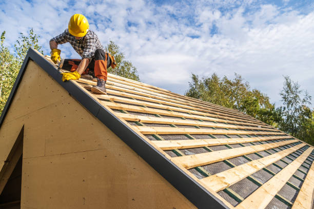 Roof Gutter Cleaning in Burns, TN