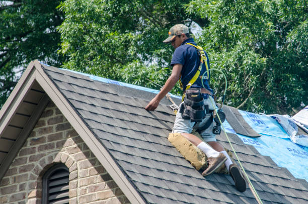 Best Roof Repair Services  in Burns, TN